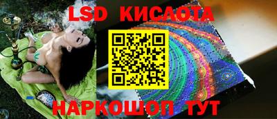 PSILOCYBIN Конаково