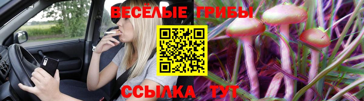 Галлюциногенные грибы GOLDEN TEACHER  Псилоцибиновые грибы мицелий  купить  сайты  Армавир  Вход с VPN 